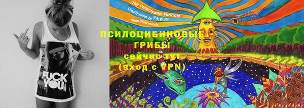 ECSTASY Абаза
