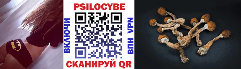 наркотики ссылка на мегу ссылка Псилоцибиновые грибы Psilocybine cubensis Тарко-Сале